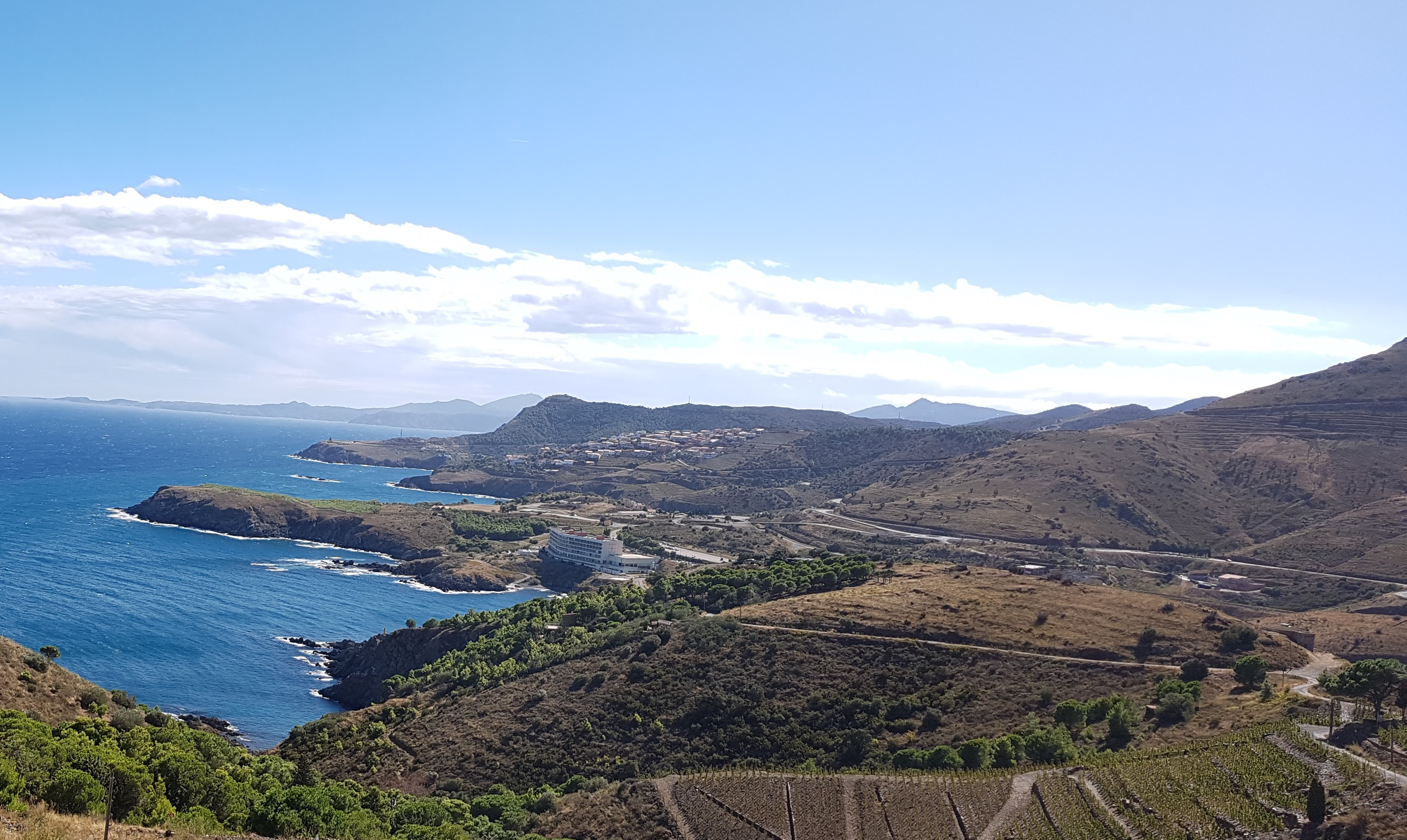 Vignoble de banyuls